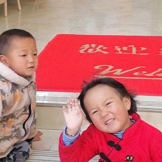 小红凤