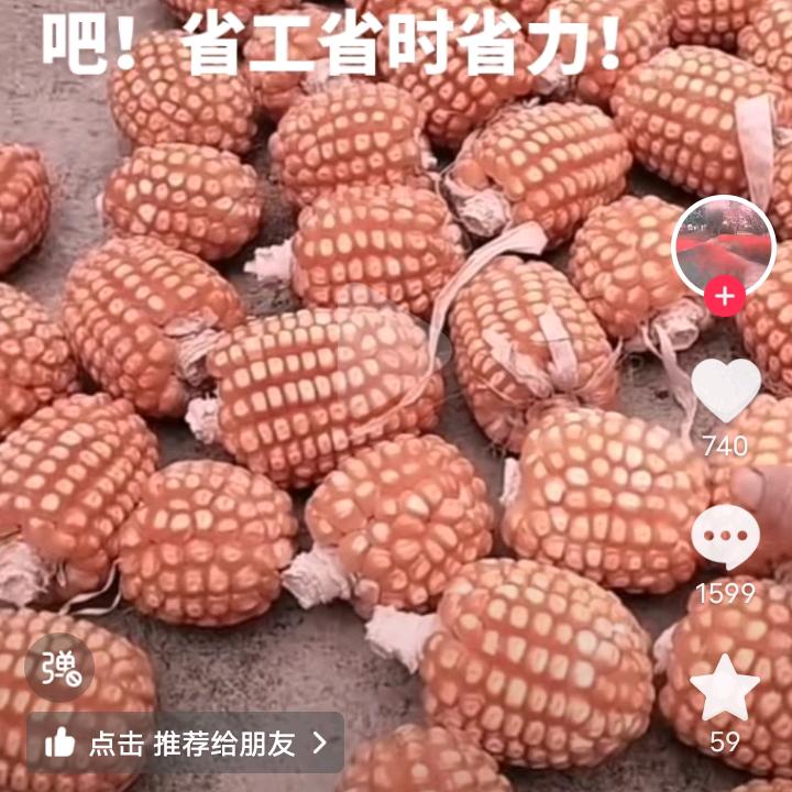 天增岁月
