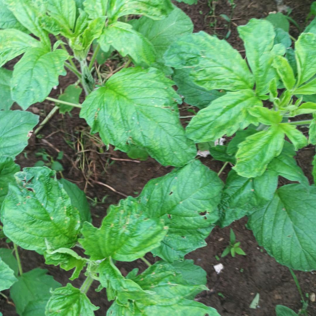 享受孤独ღ² º ²