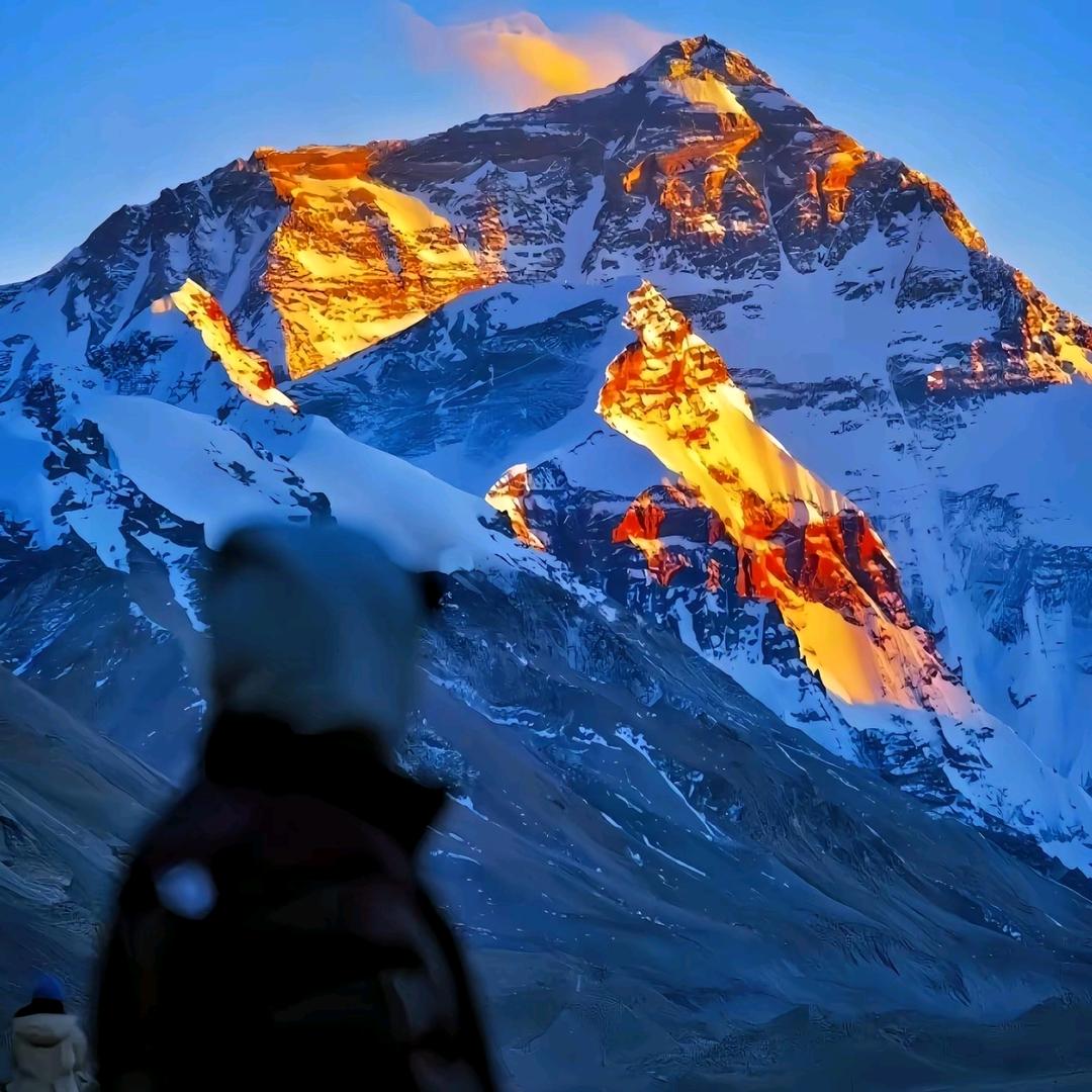 员员（吃丹修仙）