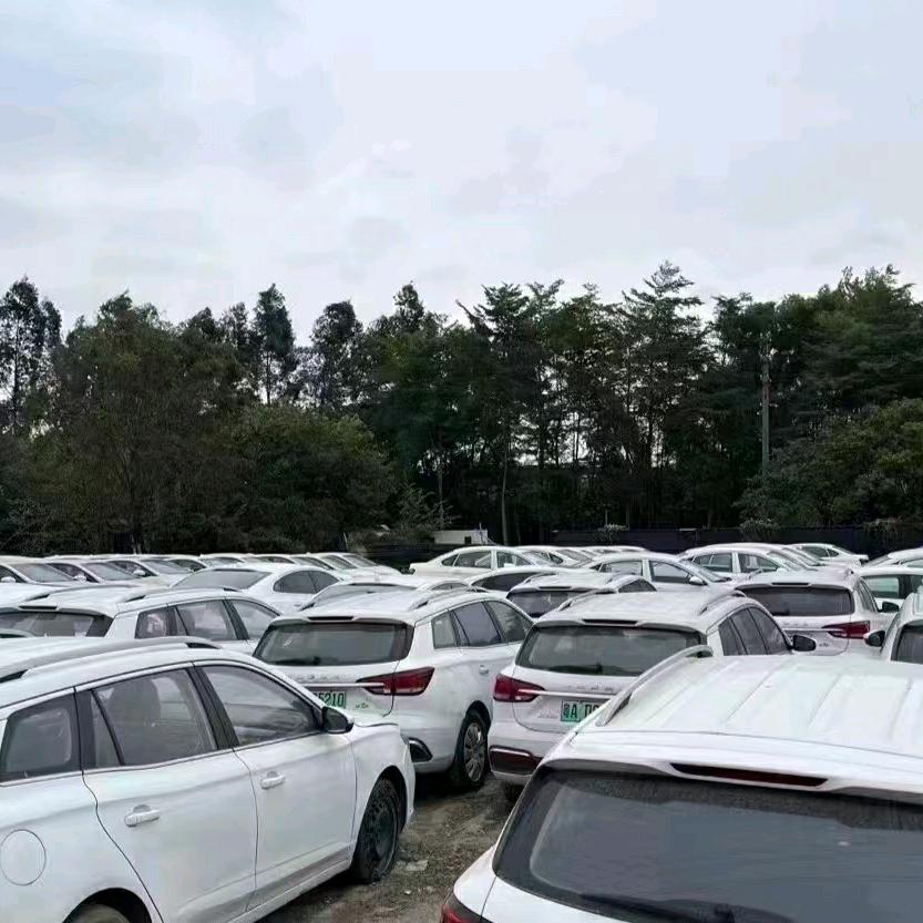 雷速新能源小玉