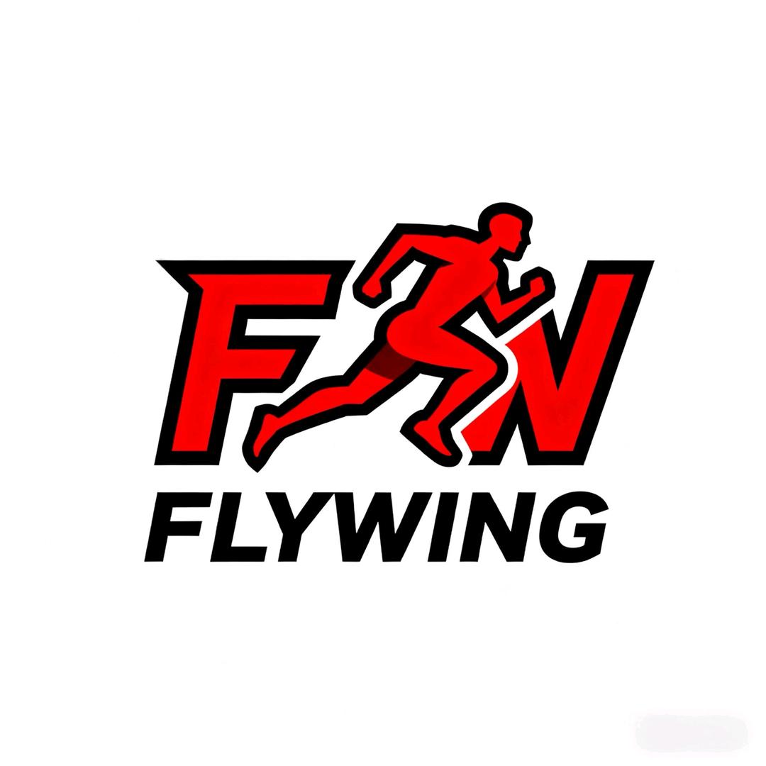 FLYWING运动体育