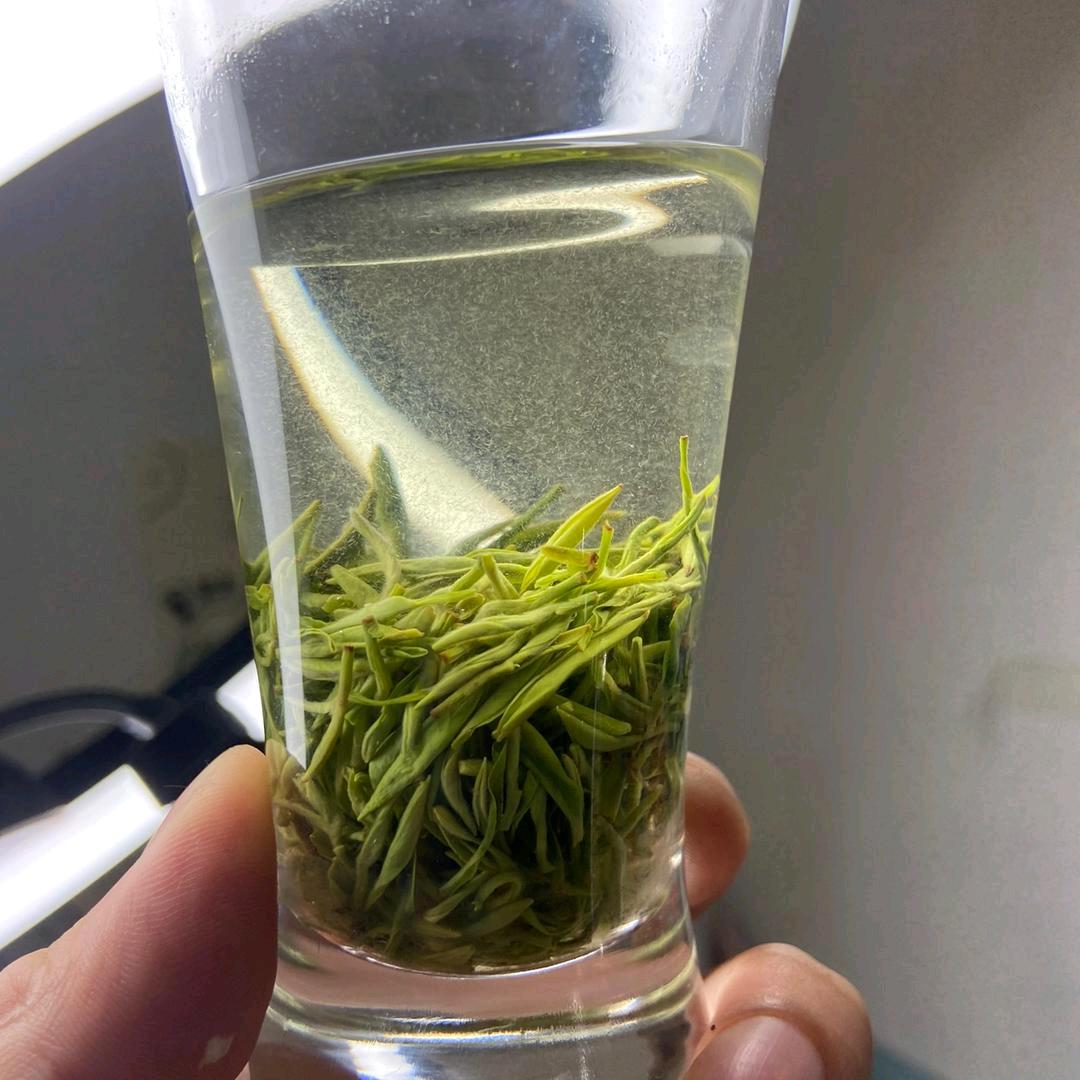 宝瑶茶叶店