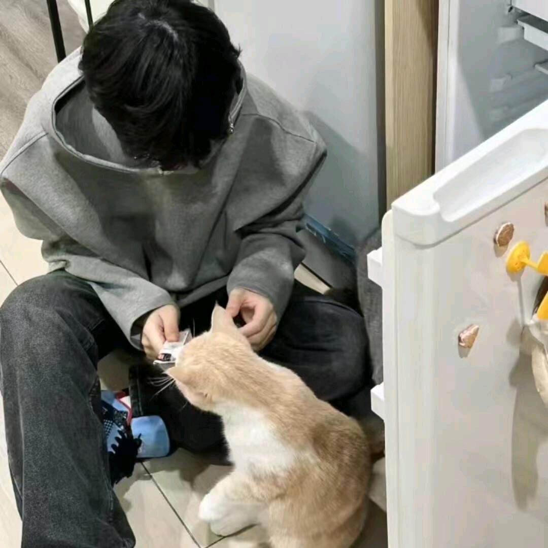 楚兮