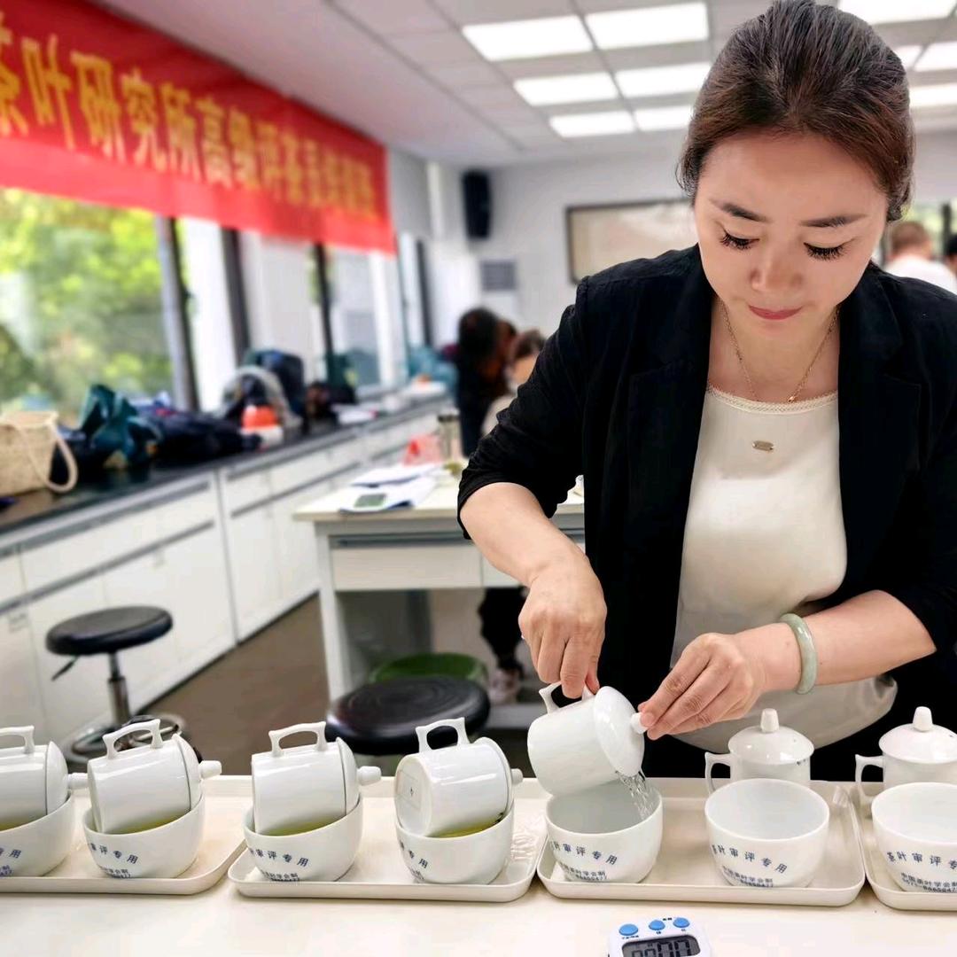 云顶龙茶叶（茶叶姐姐）