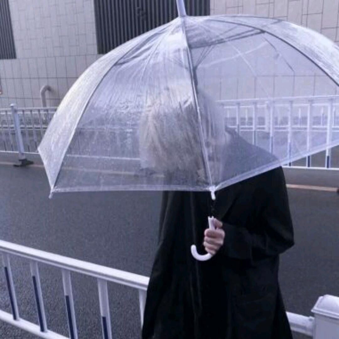 风间流离之人追逐幻影