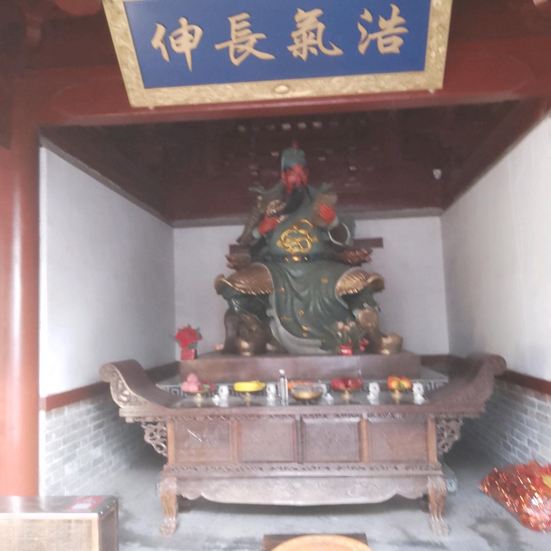 鸟儿对花