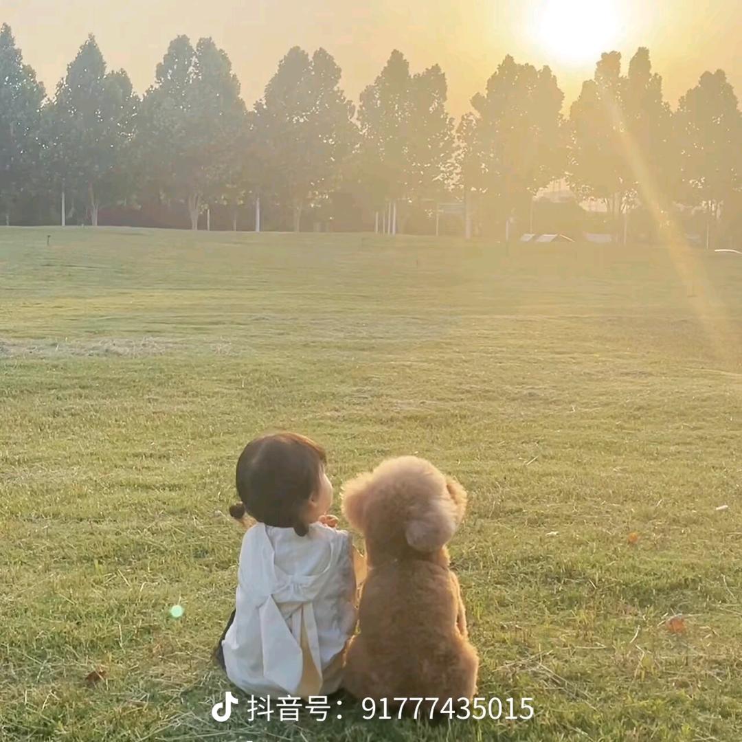你若盛开，蝴蝶自来，你若精彩，天自安排。