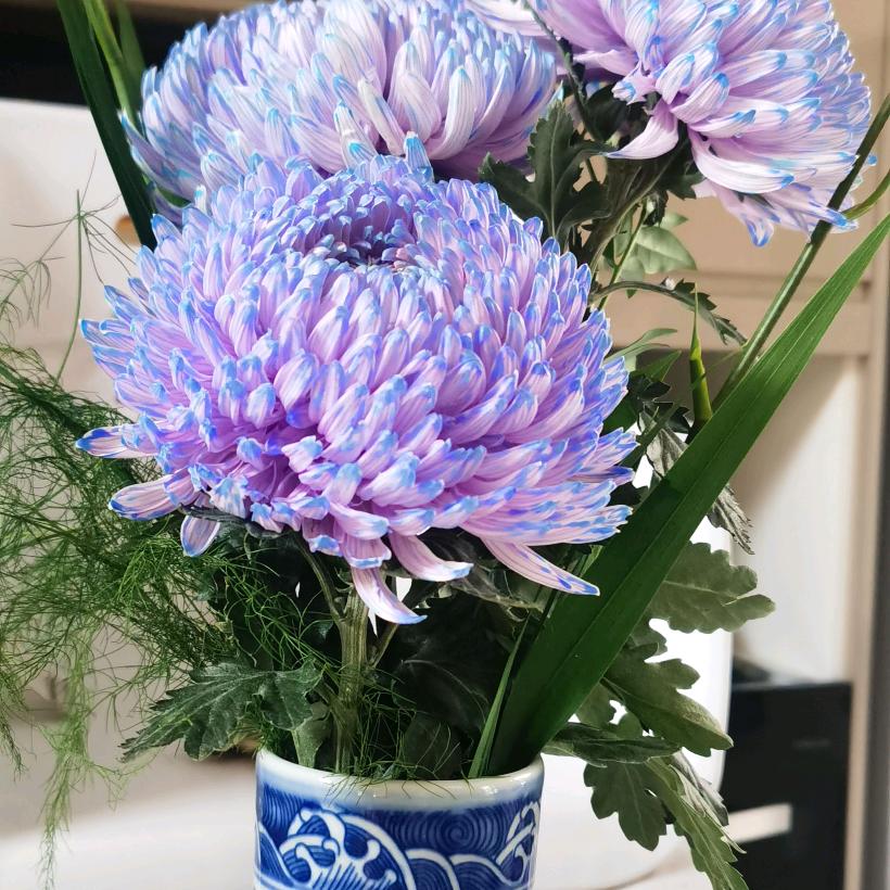 月嫂李姐（带徒弟）