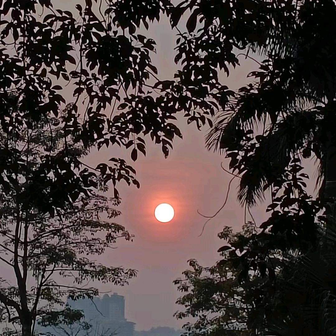 小邓小邓