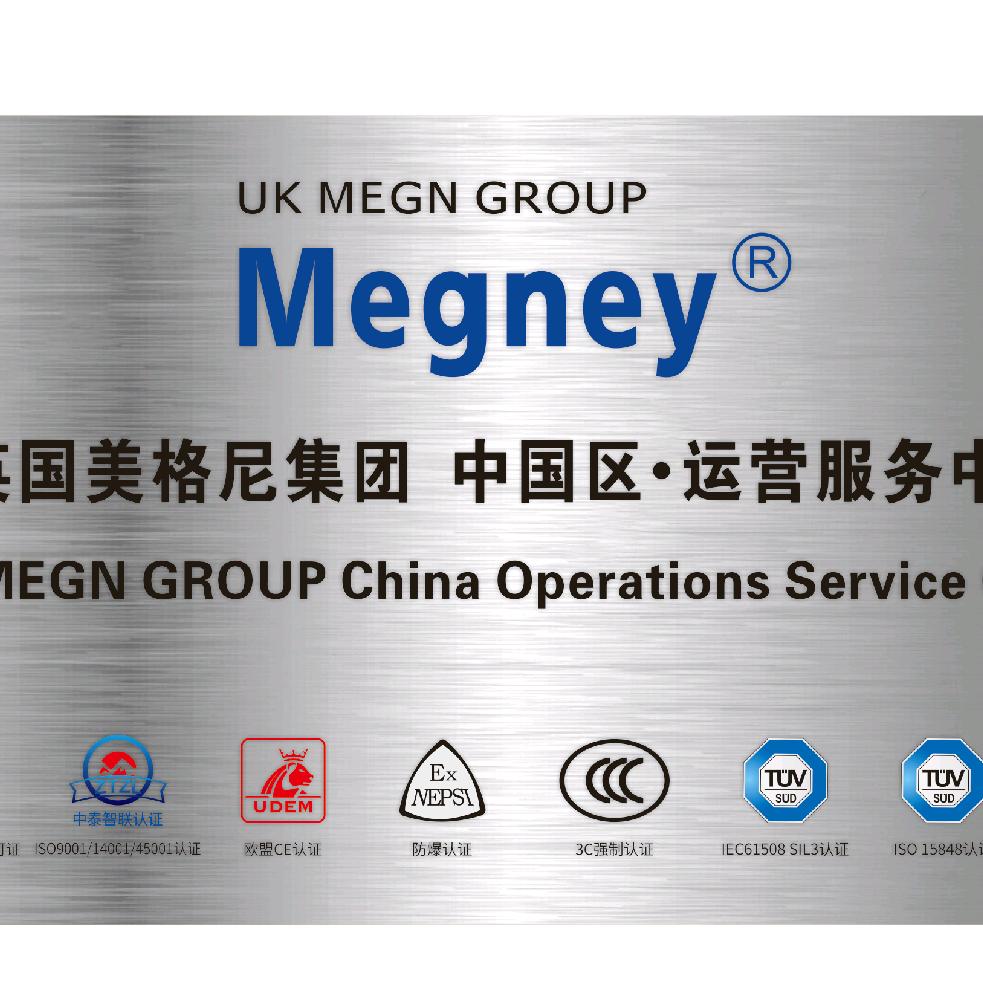 Megney中英合资一美格尼流体控制