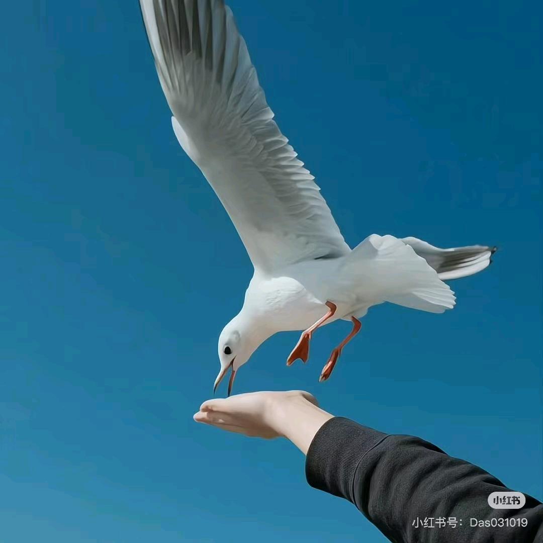 北翛