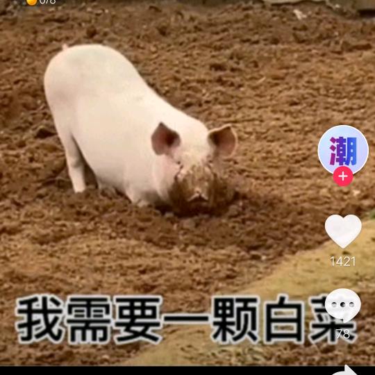 郁闷的人生