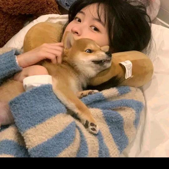 鬪闪彡头像