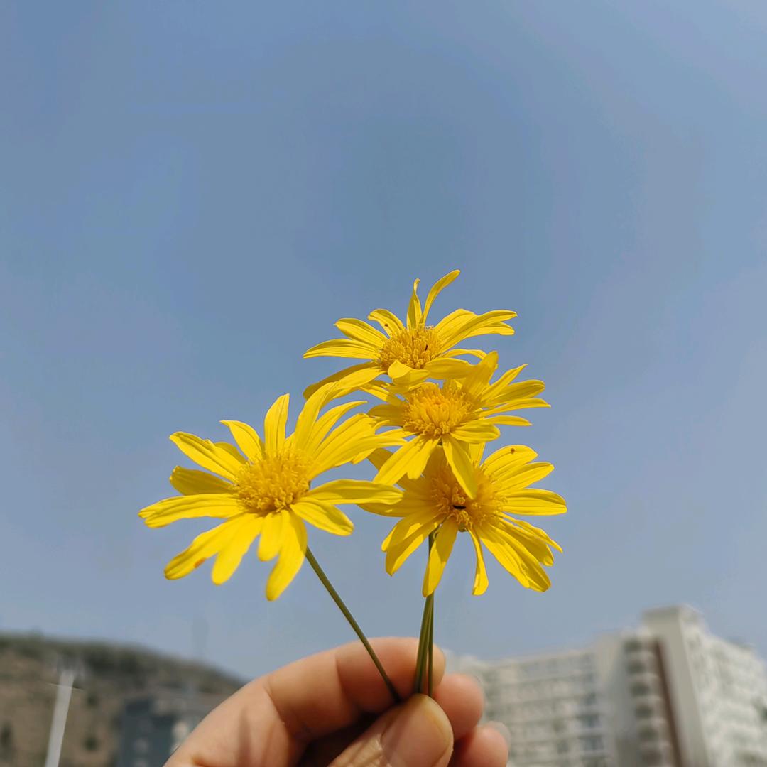 最熟悉的陌生人