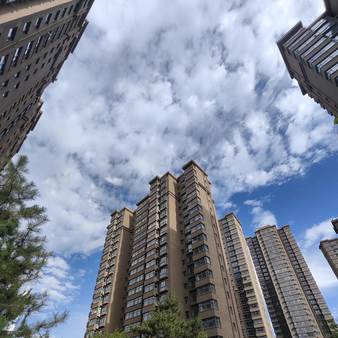 大槐树