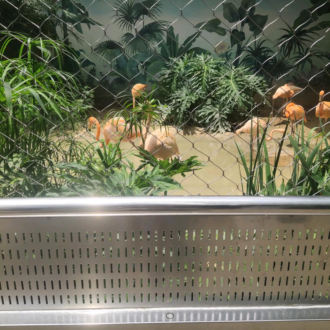 华姐