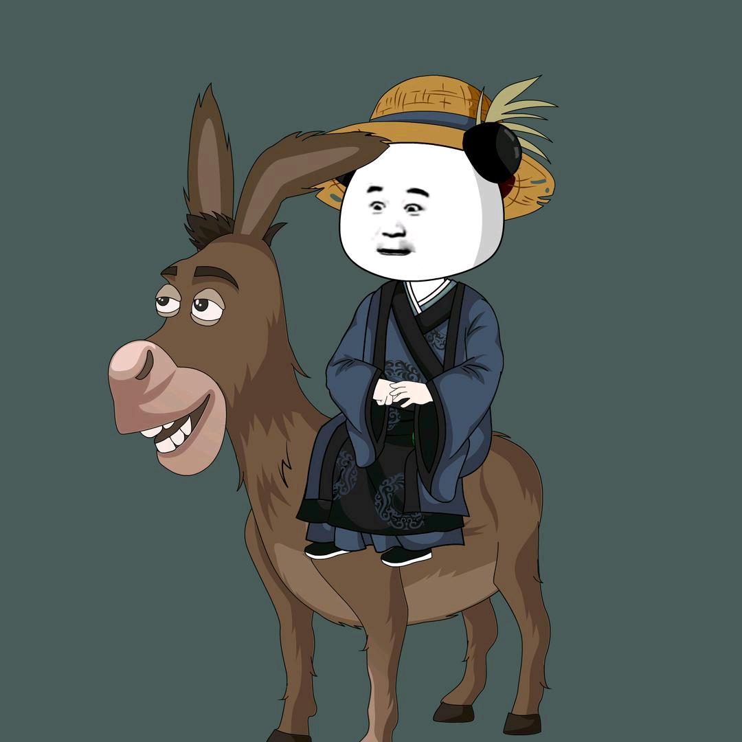 暴走阳十三
