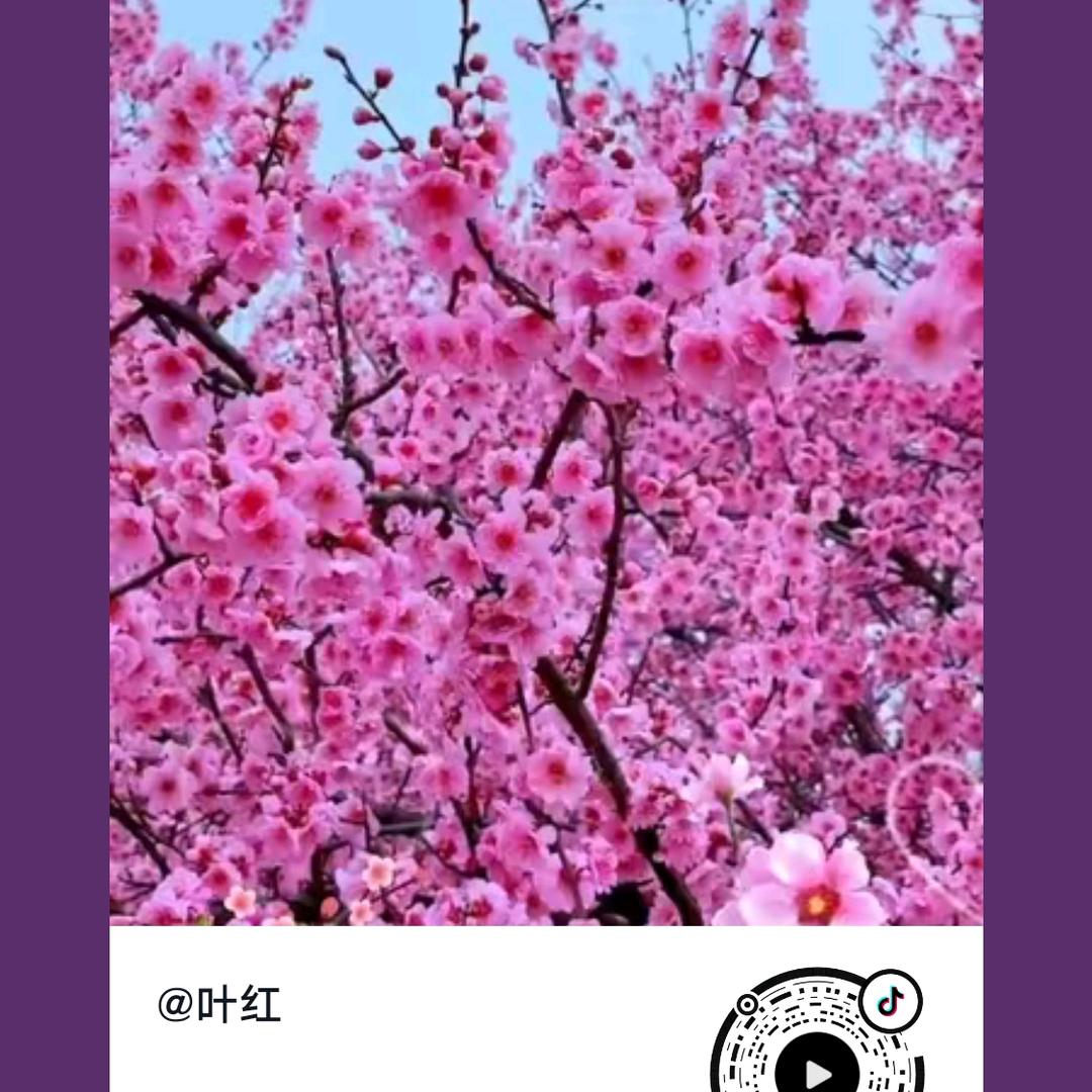 开心