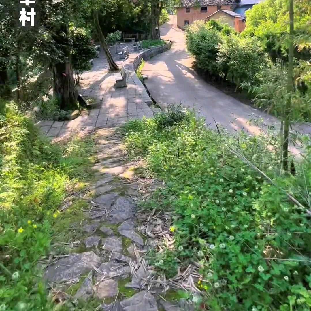 又是一夏。