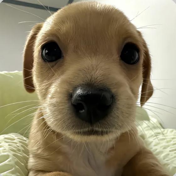 Q~