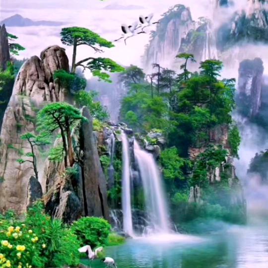 永嘉《绿野仙踪》