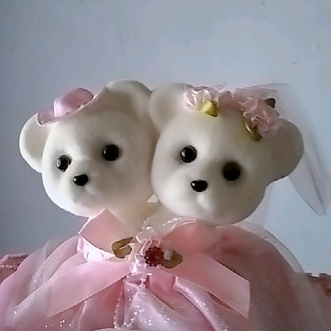 孤单的燕子