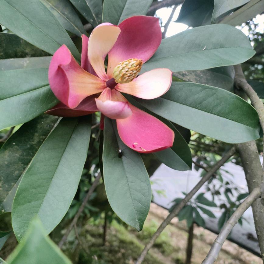 命苦！钱不喷身