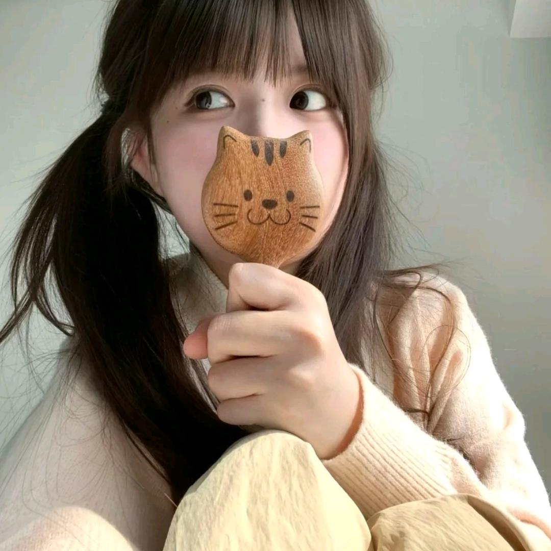 派总