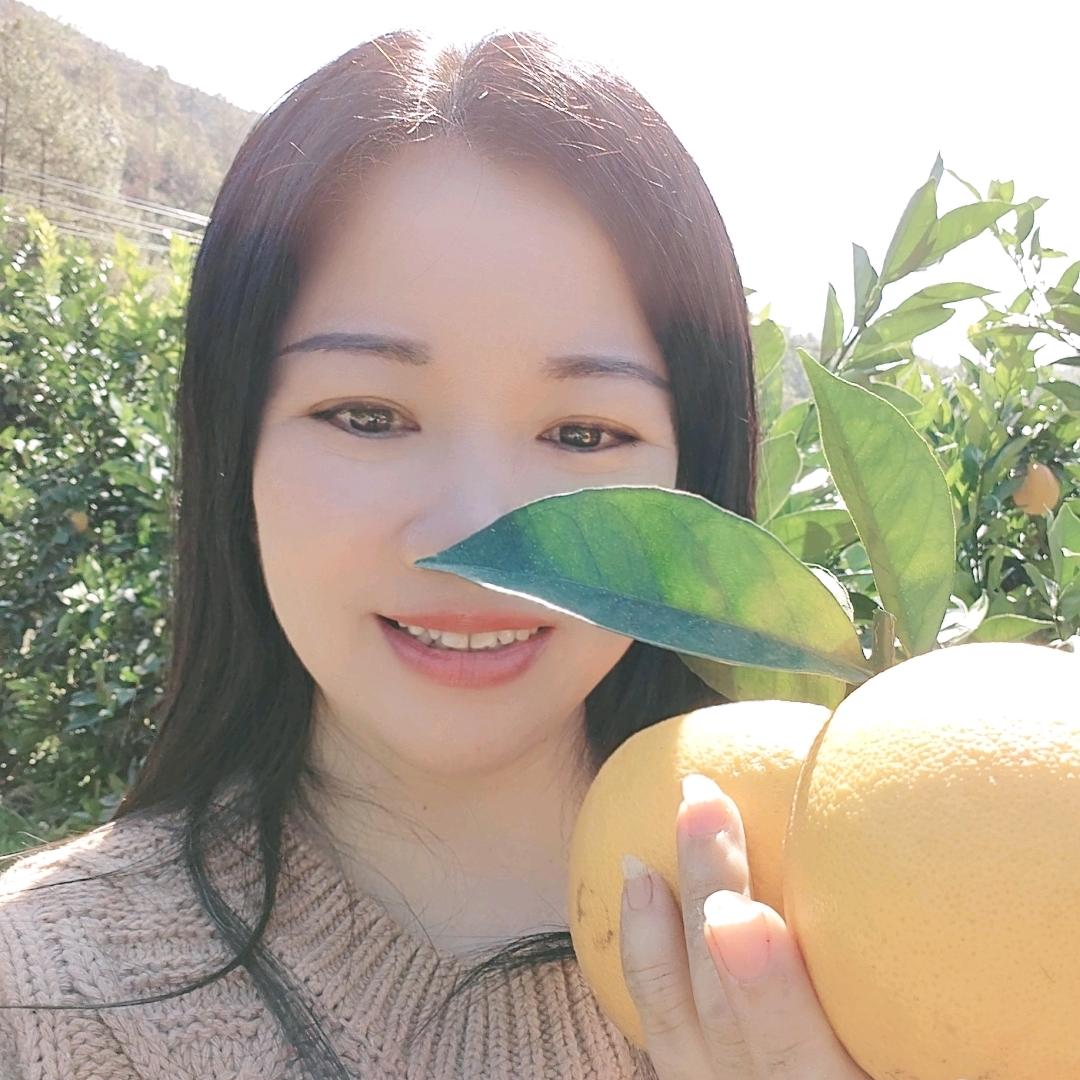 京东老板娘(宋屋安置长海云府店)