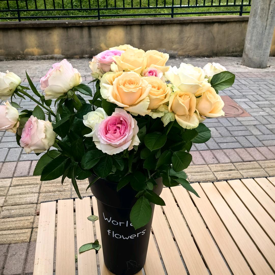 (͡° ͜ʖ ͡°)兜里半💞颗糖