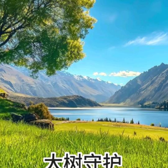 兴建装饰