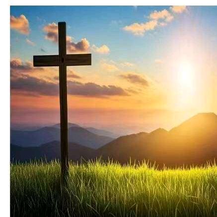 约书亚的信心🦌