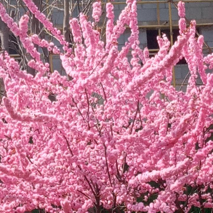 简约生活坊hle开心一笑