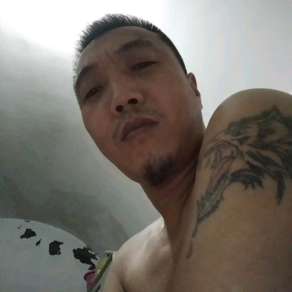 高刘强