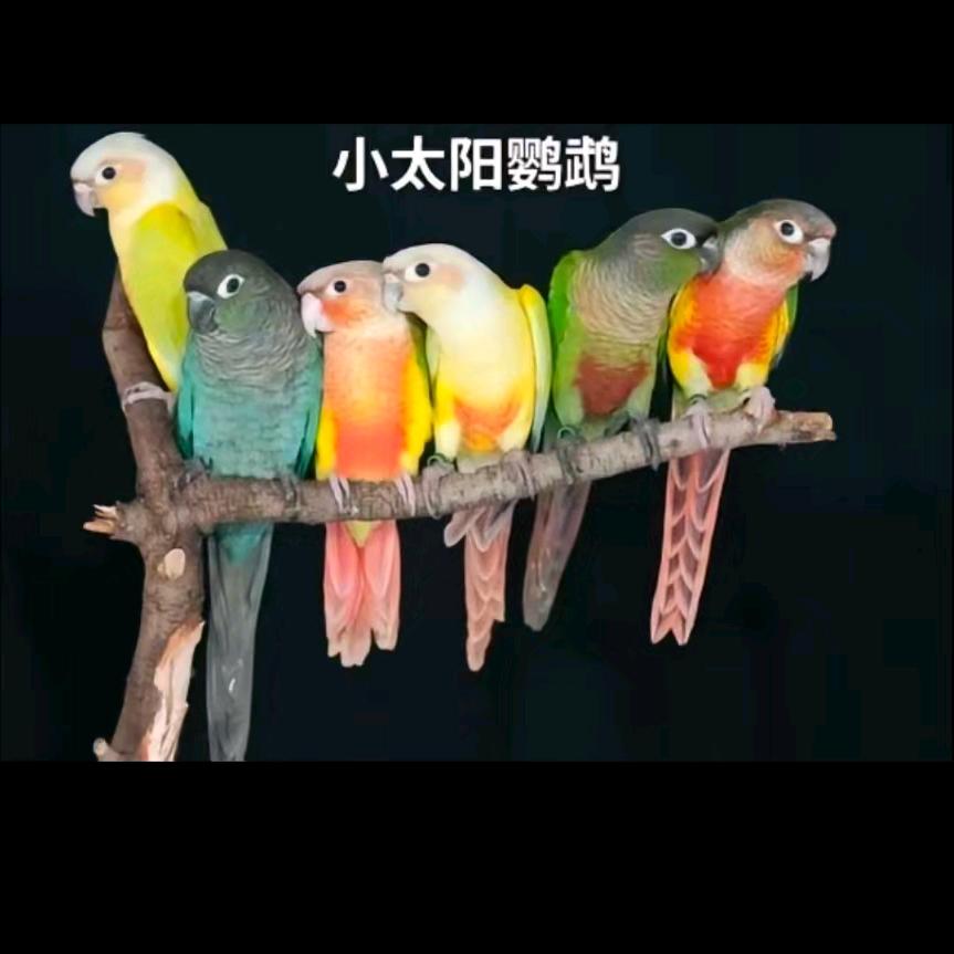 用户不在线