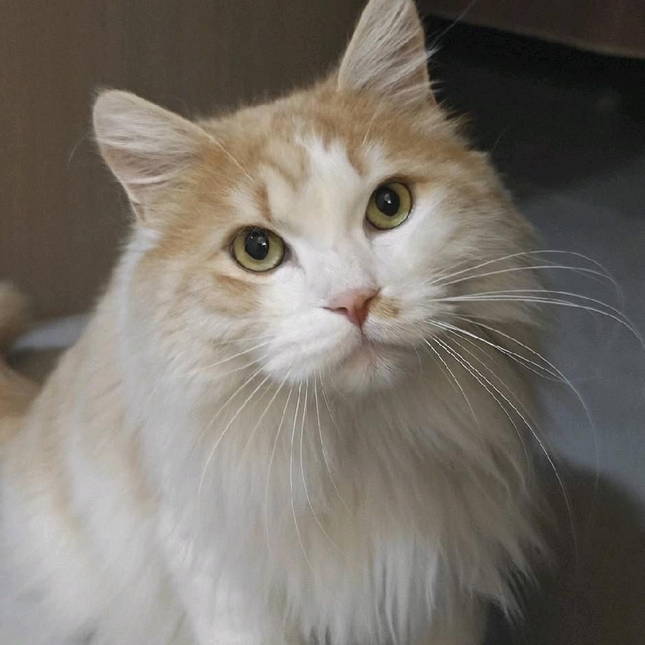 抖鹏传媒-全品类团购开通