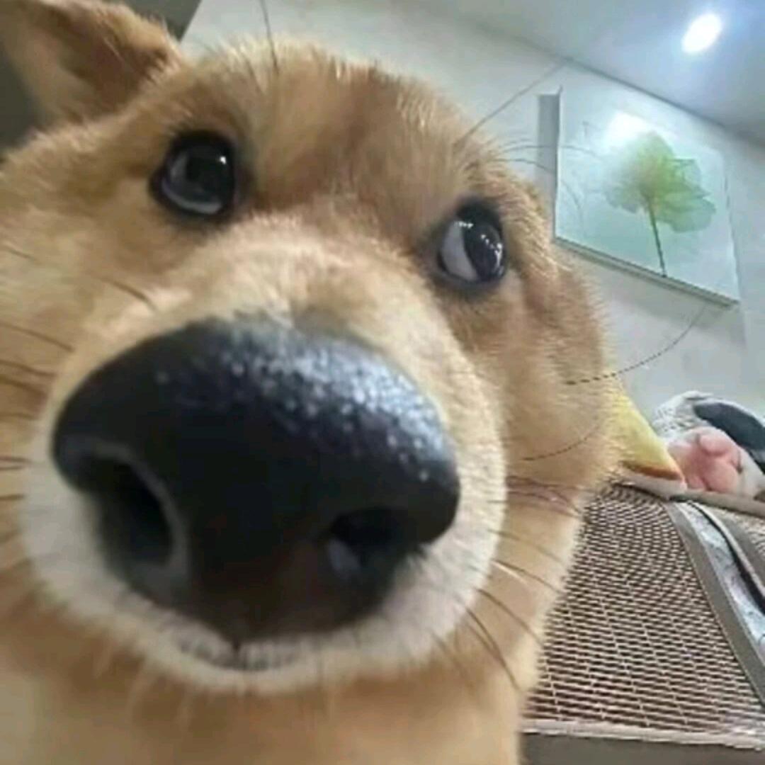 鼠鼠闲人副业