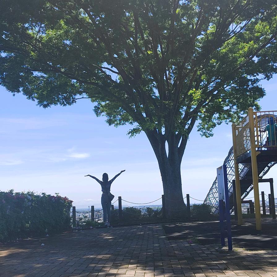 山东巧巧在日本