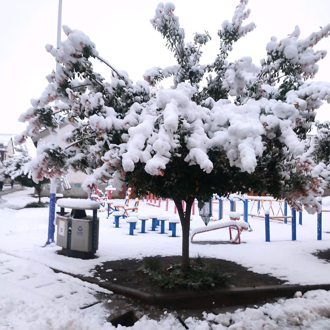 🌺᭄冬去春来🌺᭄