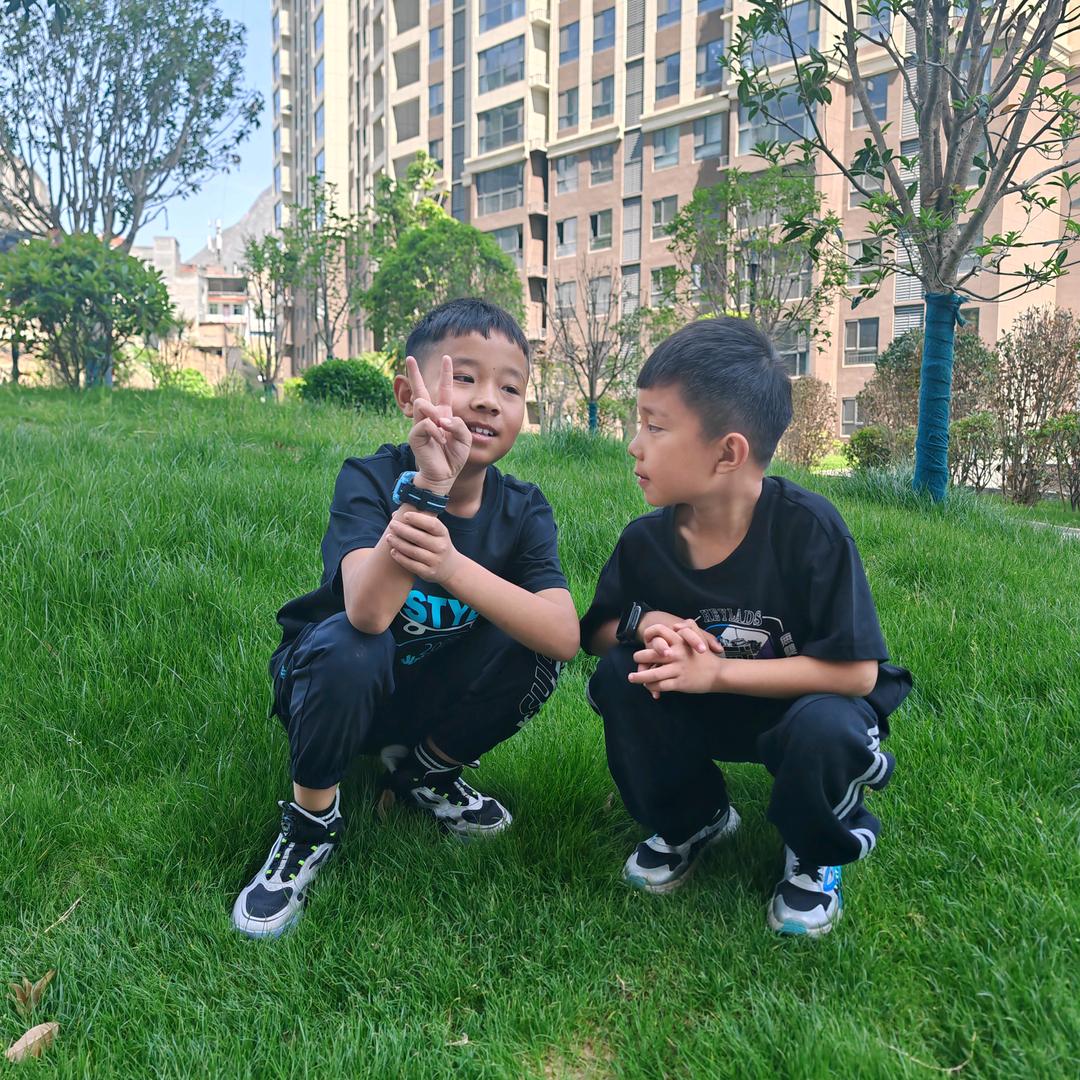 一只喵喵咪