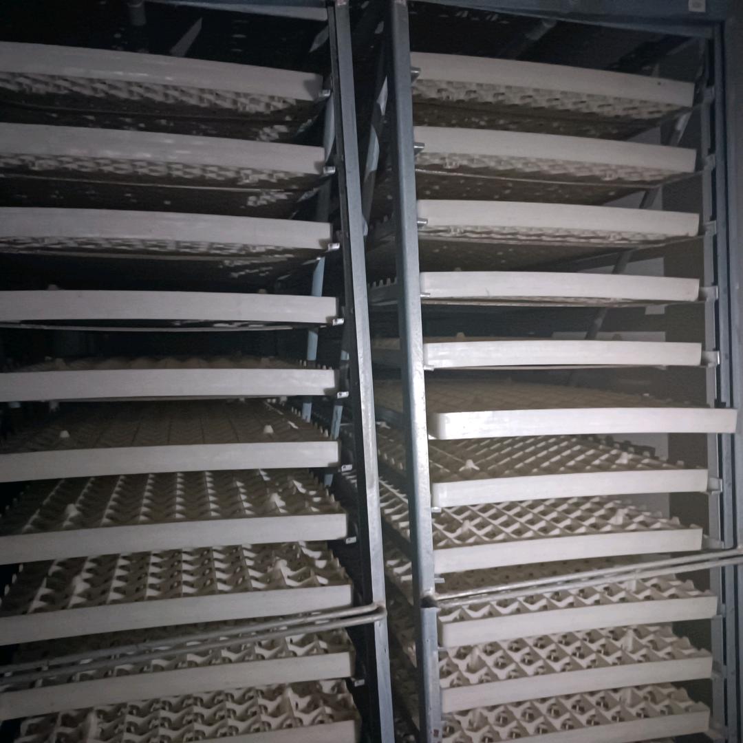 回收置换各类孵化机