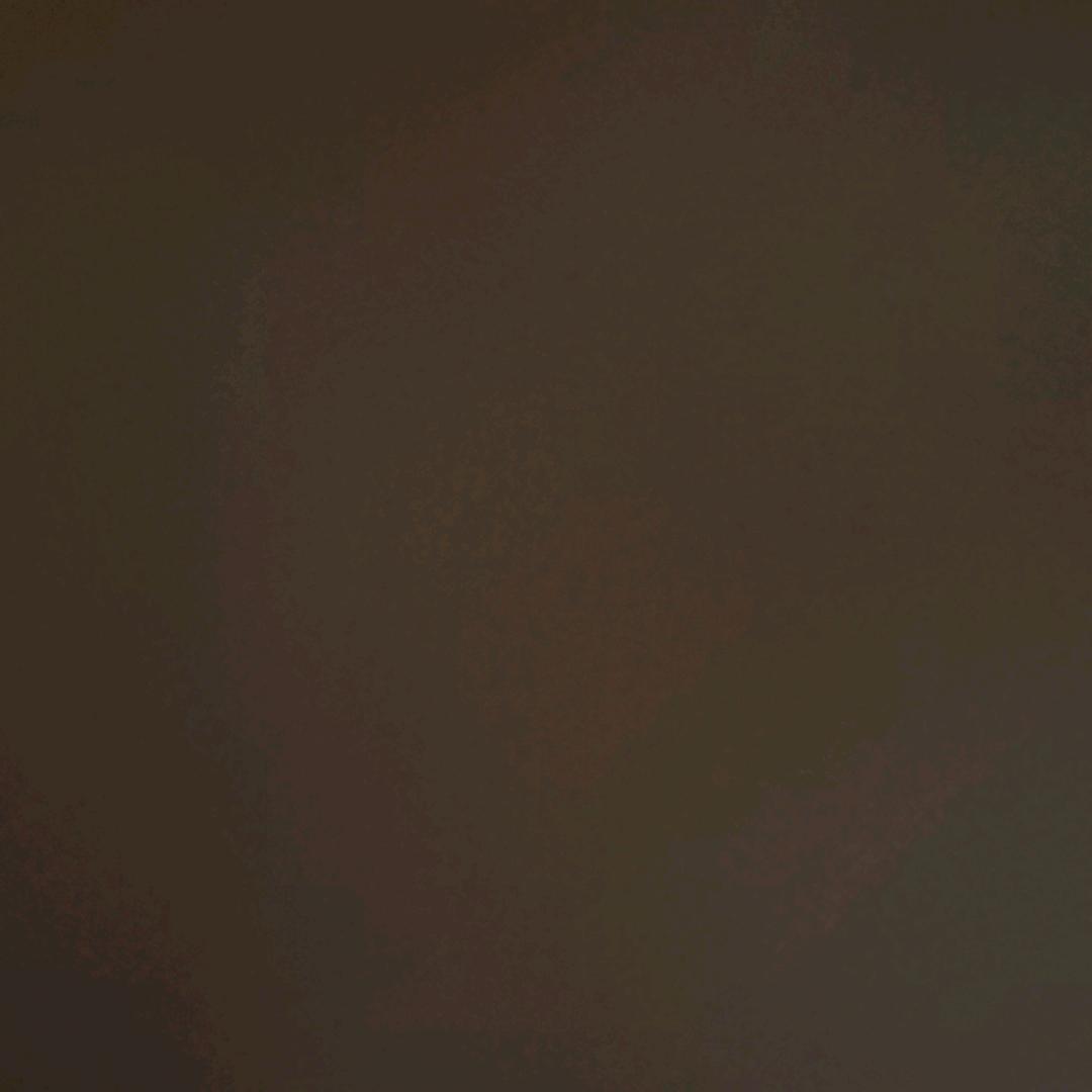 呆᳐呆小猫᳐੭ﾞ