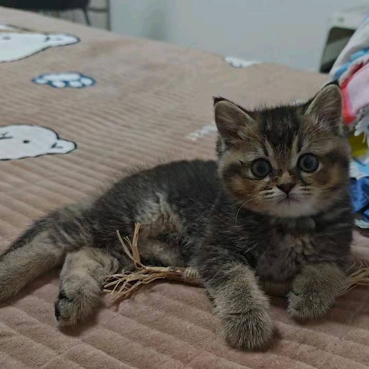 新姐