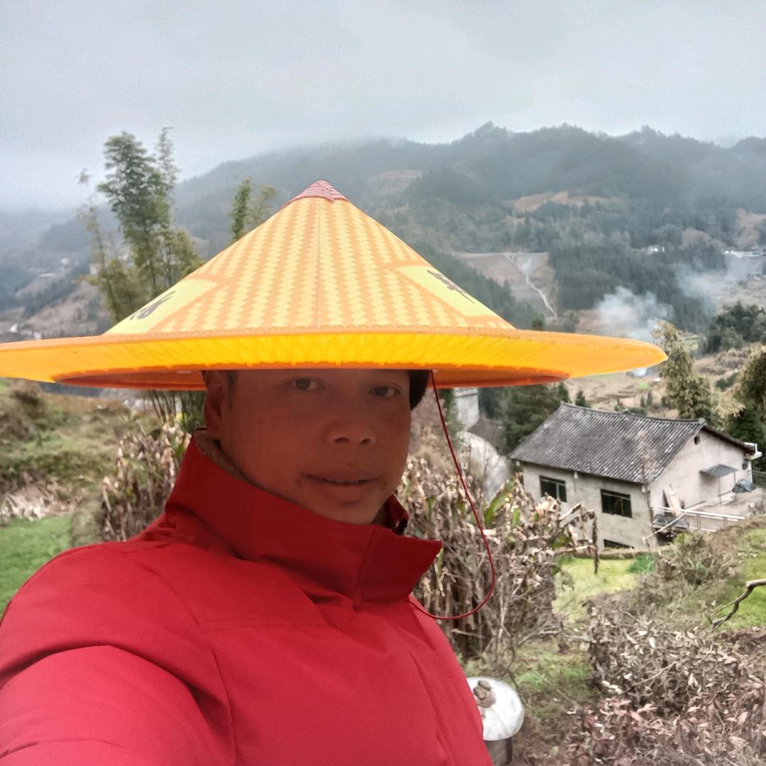 🎄花树脚下想当初👫