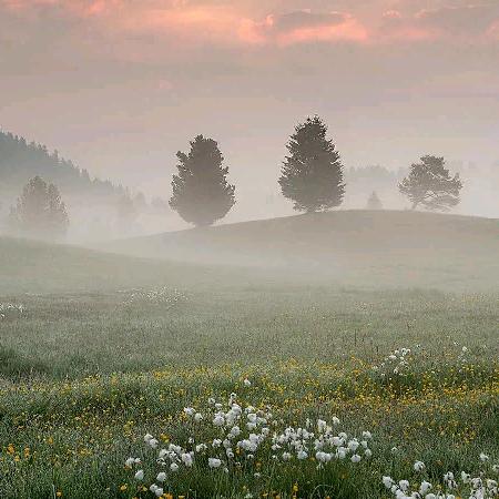爱吃薯条的东野淑懿
