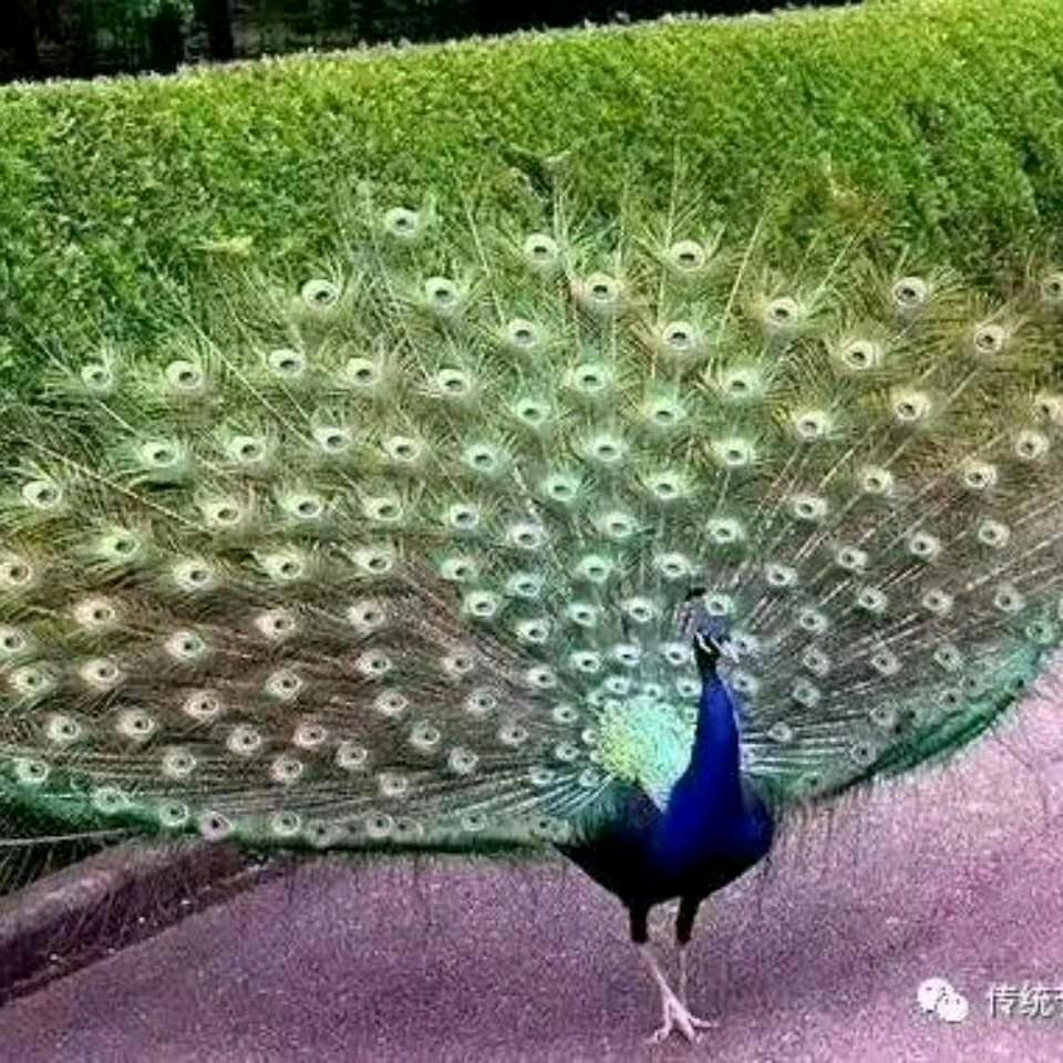 人生好累
