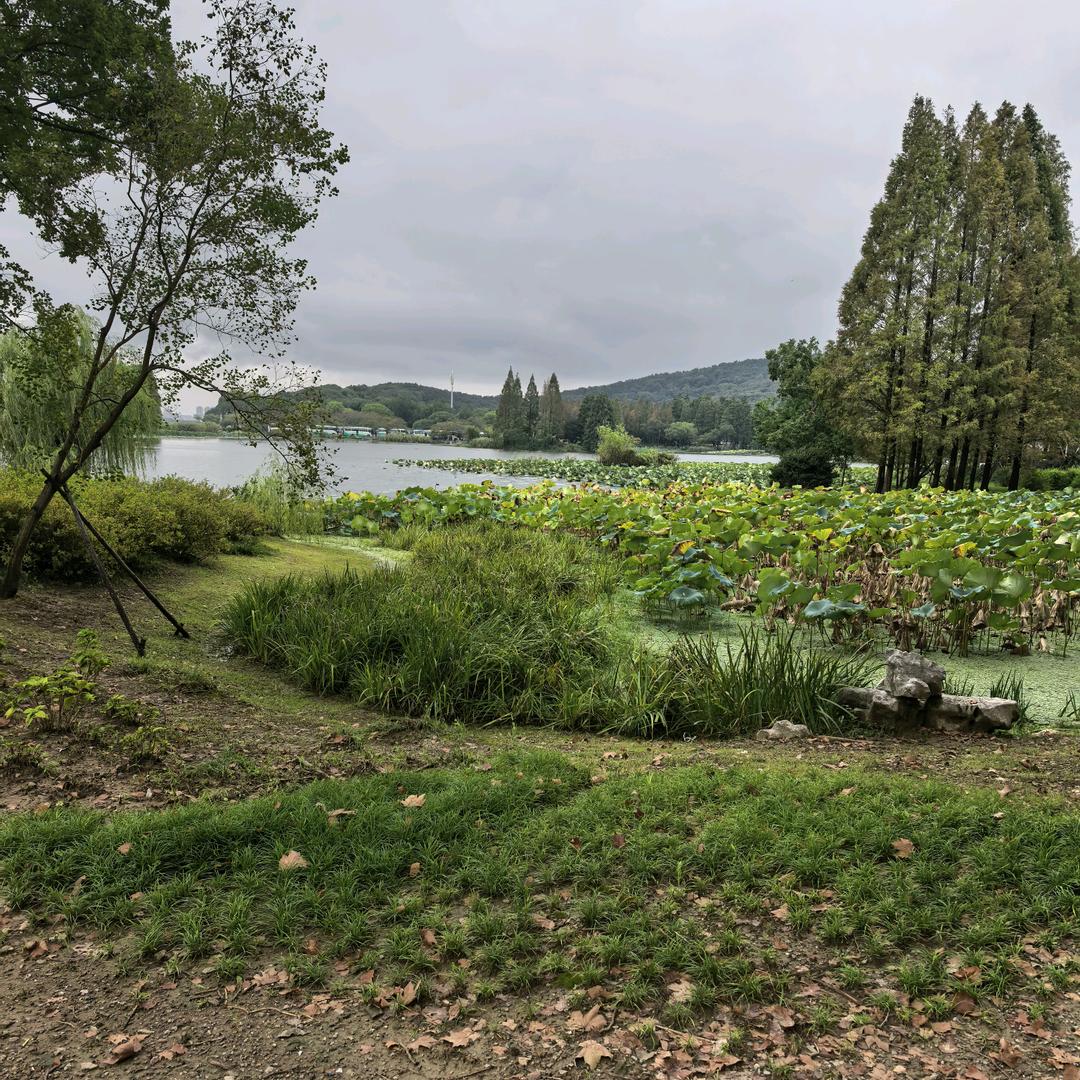 范家大院