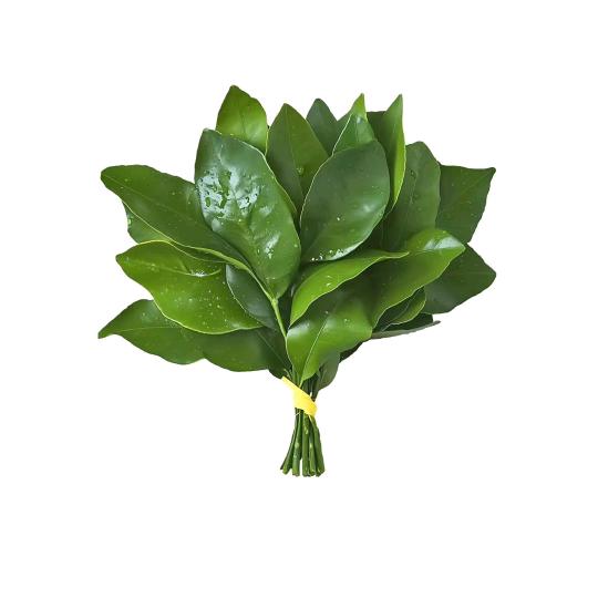 奥特曼特奥