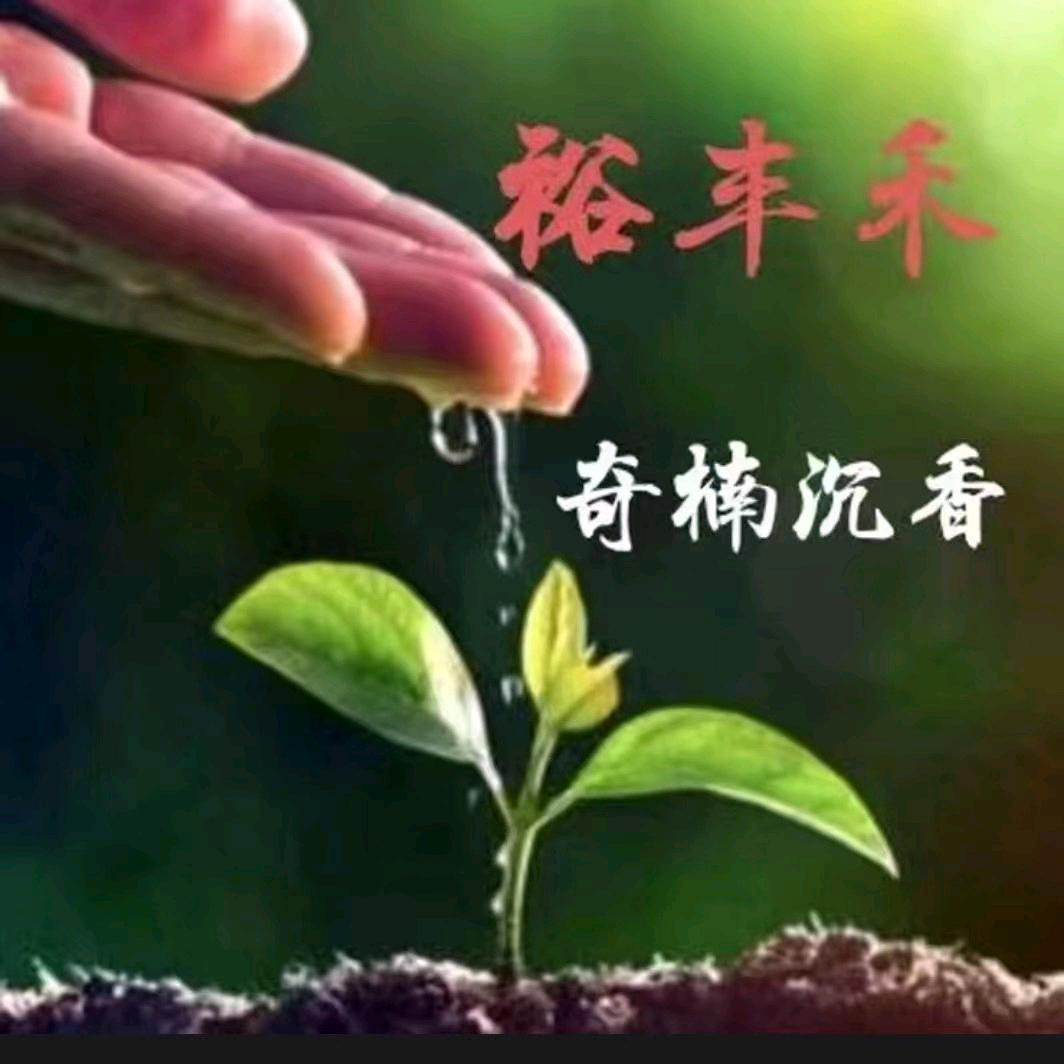 裕丰禾苗木栽培